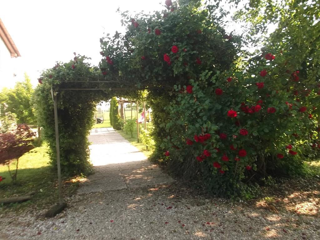Agriturismo La Prateria Gazzo  Екстериор снимка