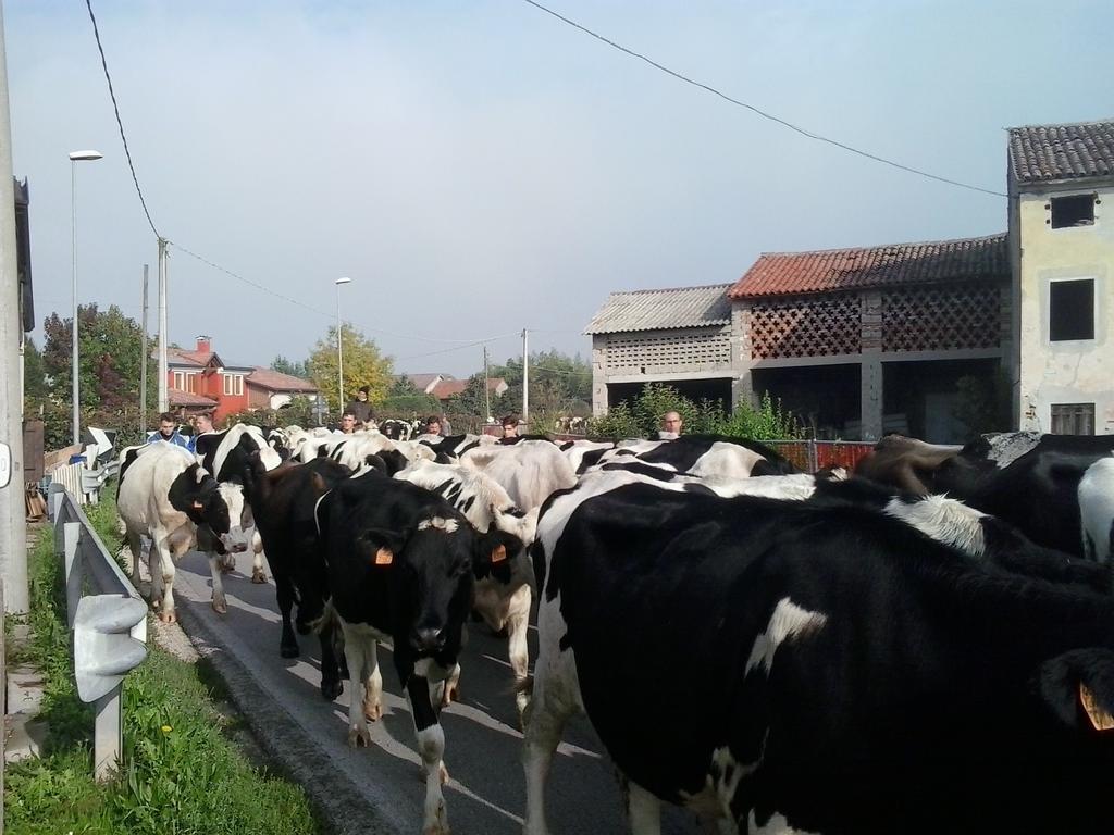 Agriturismo La Prateria Gazzo  Екстериор снимка